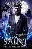 Saint: Prison Breaker book 3