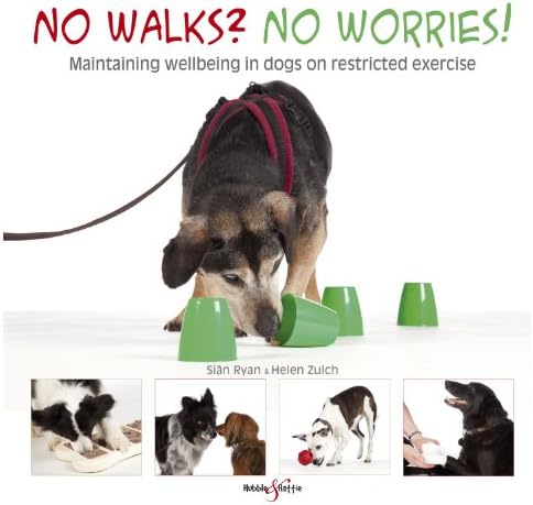 No walks? No worries!: Maintaining wellbeing in dogs on restricted exercise