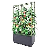 BioGreen Raised Garden Bed with Trellis CITY JUNGLE