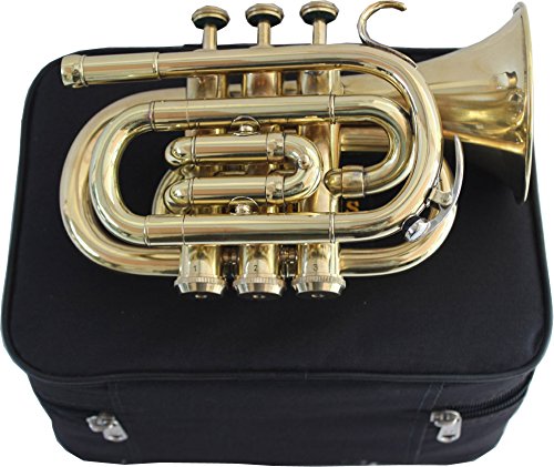 1 Pocket+Trumpet+Painted+Mouth+Piece