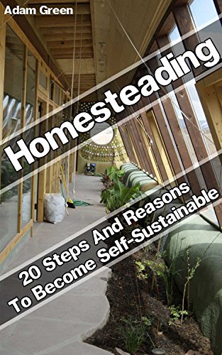Homesteading: 20 Steps And Reasons To Become Self-Sustainable: (backyard homestead, homesteading for beginners) (homestead survival, backyard homestead) by [Green, Adam]