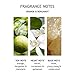 Molton Brown Exquisite Treats Cracker, Bath & Shower Gel Set
