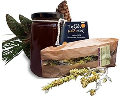 ARISTOS 2tlg Probier-Set | griechischer Pinien Honig | Thassos + Griechischer Bergtee Sideritis Scardica Kräutertee