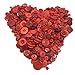 levylisa Assorted Red Buttons Mix, Small Medium Kids and Children Red Buttons in Red Color, Sewing, Dark Red Buttons for Arts and Crafts, Blood Red Color Buttons 500 PCS