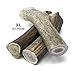 Craving Canine Grade A USA Deer Antlers for Dogs! Odorless, Split Resistant Horns for Aggressive Chewers! Long Lasting & Easy to Digest Antler Full of Glucosamine for Healthy Joints! 1 lbs (XLarge)