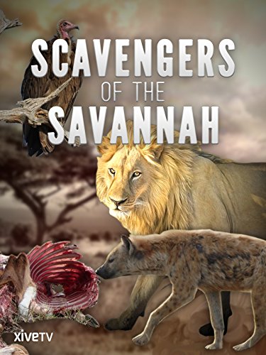 Scavengers of the Savannah