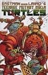 Teenage Mutant Ninja Turtles Vol.1 #43