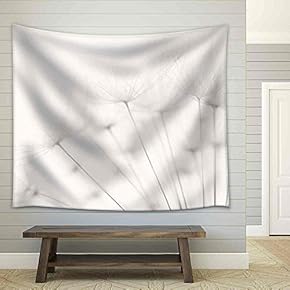 Dandelion and Seeds, Colored Black and White Photo - Fabric Wall Tapestry Home Decor - 51x60 inches
