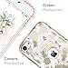 BENTOBEN iPod Touch 5 Case,iPod Touch 6 Case,Hybrid Solid PC Back Cover Soft TPU Bumper Cute Pineapple Pattern Shockproof Heavy Duty Protective Case Cover for iPod Touch 5th/6th Generation,White/Gold