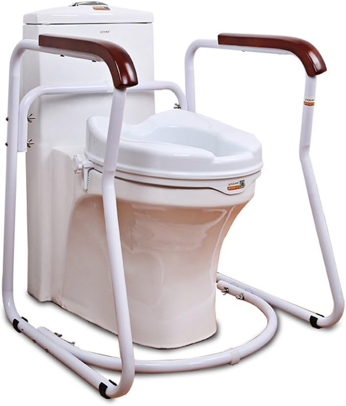 Best toilet seat hand rail