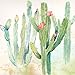 Roaring Brook Lovely Watercolor-Style Desert Cactus Print Set by Cynthia Coulter; Three 12x12in Unframed Paper Posters