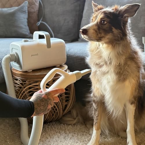 Pecute Poodle Dog Pulser with Hot and Cold Cycle Modes, Dog Hair Dryer, Professional Dog Blower, Adjustable Speed and Temperature, 4 Nozzles