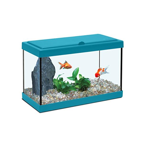 Acquario-Nanolife-Kidz-8-Litri-blu-Zolux Acquario Nanolife Kidz 8 Litri blu Zolux