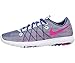Nike Women's Flex Fury 2 Running Shoe