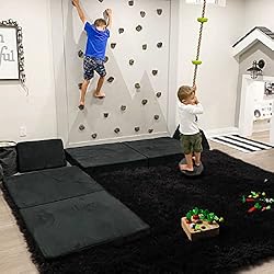 PAGISOFE Fluffy Shaggy Area Rug, 5x8 Feet, Soft