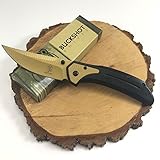 Wartech Buckshot Knives Thumb Open Spring Assisted Stainless Steel Handle Filet Pocket Knife (PBK210GD)