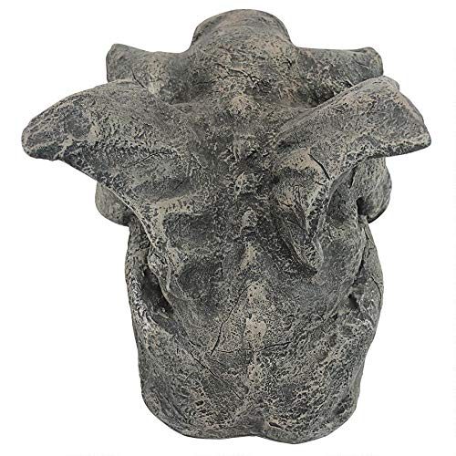 https://images-na.ssl-images-amazon.com/images/I/51gbc7vAOhL.jpg