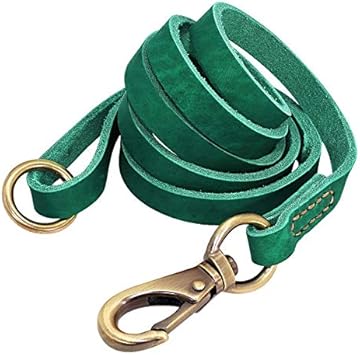 Lyl Store Hundeleine Leder Hundeleine 150cm Pet Walking Training Leads Echtes Leder For Deutscher Schaferhund Golden Retriever Medium Large Hunde Haustierleine Hunde Haustier Suenaacampo Com