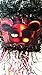 Five Nights Pinata