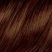 Clairol Natural Instincts Hair Color 20B Cinnamon Stick Medium Warm Brown 1 Kit (Pack of 3)
