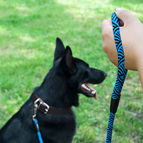 image for BronzeDog Dog Slip Lead 4ft Pet Rope Training Leash for Medium Large D
