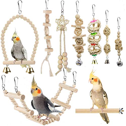 lovyoCoCo Parrot Swing Toy Set