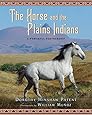 Song For The Horse Nation Horses In Native American