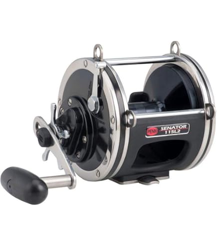 Amazon.com : Penn 91414 Senator Combo, 6'6