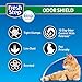 Fresh Step Odor Shield Scented Litter with the Power of Febreze, Clumping Cat Litter, 20 Pounds (Package May Vary)