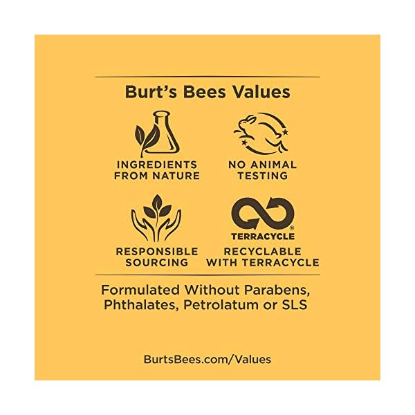 Burts-Bees-100-Natural-Tinted-Lip-Balm-Rose-with-Shea-Butter-Botanical-Waxes--1-Tube-x-425-g Burt's Bees Tinted Lip Balm Rose, Moisturising Lip Tint With Shea Butter, 100% Natural Origin, 4.25g