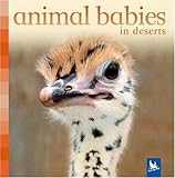 Animal Babies in Deserts