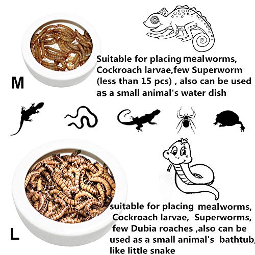 Adoggygo Worm Dish Reptile Mealworm Feeder Dish Ceramic Bowl With