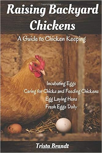 Raising Backyard Chickens A Guide To Chicken Keeping From