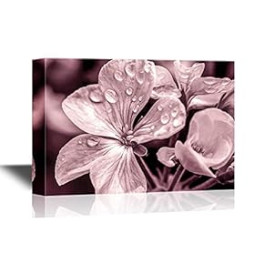 Floral Canvas Wall Art - Flower with Raindrops - Gallery Wrap Modern Home Art | Ready to Hang - 12x18 inches