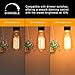 Dimmable Vintage 60 Watt Edison Light Bulb, Amber Warm Glow, Clear Glass Squirrel Cage Filament Light Bulb, E26 Medium Base, Pack of 4
