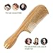 All Natural Hair Comb [Gift Box] - pureGLO No Static Detangling Wooden Combs - Handmade Natural Fine Tooth Comb