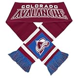 Forever Collectibles NHL Team Stripe Logo Scarf