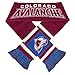 Forever Collectibles NHL Team Stripe Logo Scarf