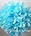 (16pcs) Rainbow Mixed Size Tissue Paper Pom Poms Lanterns Decorations