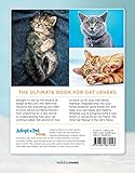 Image de The Total Cat Manual: Meet, Love, and Care for Your New Best Friend