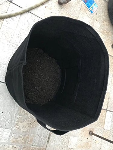 SingPad Potato grow bags,2-Pack 7 Gallon Garden Vegetables Planter Bags For Growing Potatoes,Taro,Radish,Carrots,Onions (Black) - Thumbnail 3