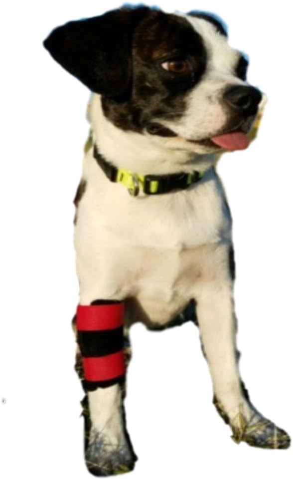 WagSafely Dog Carpus Wrap -XLarge