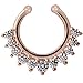 Achieer Nose Ring Septum Piercing Jewelry, Cubic Zircon Fake Septum Nose Ring for Women Non Piercing Clip On Body Piercing Jewelry (Rose Gold)