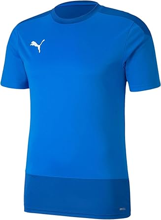 puma teamgoal 23 jersey