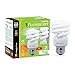 Xtricity Compact Fluorescent Light Bulbs T2 Spiral, E26 Base, 13W (60W Equivalent), 5000k Daylight, 900 Lumens, CFL, 120V - UL Listed, (4 Pack)
