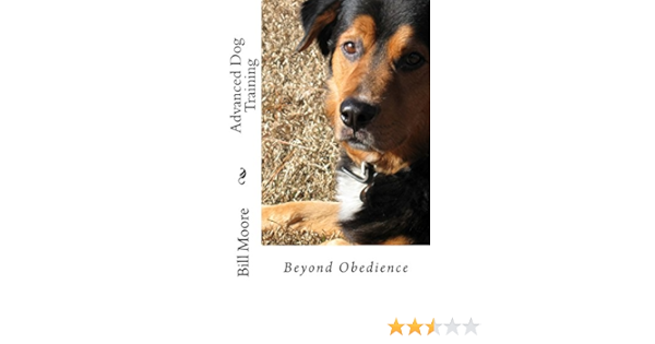 beyond obedience dog training