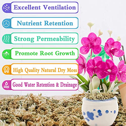 Legigo Natural Sphagnum Moss Potting Mix Carnivorous Plant Moss Dried