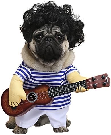 wowowo Dog Costume for Small Medium Dogs Cats Super Funny Crazy Guitarist Style Dog Clothes with Pet Curly Wig Best for Weekend Parties, Birthday, Halloween, Christmas