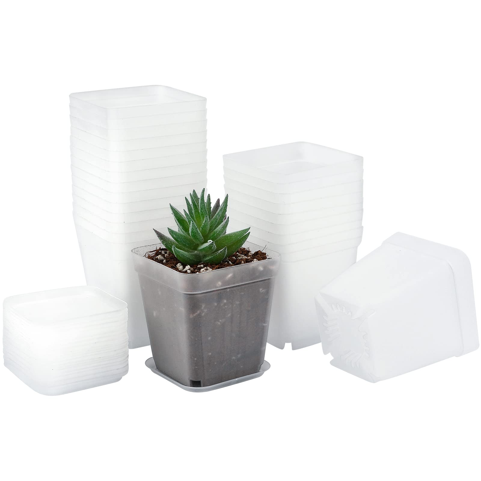 KINGLAKE 24Pcs 7cm Seed Seedling Pots, Square Plastic Plant Pots with Trays, Small Clear Nursery Flower Pots for Cuttings Vegetables Succulent Cacti Herbs