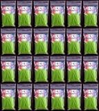 The MicroPick - 24 pouch bags Plastic Toothpicks Angled